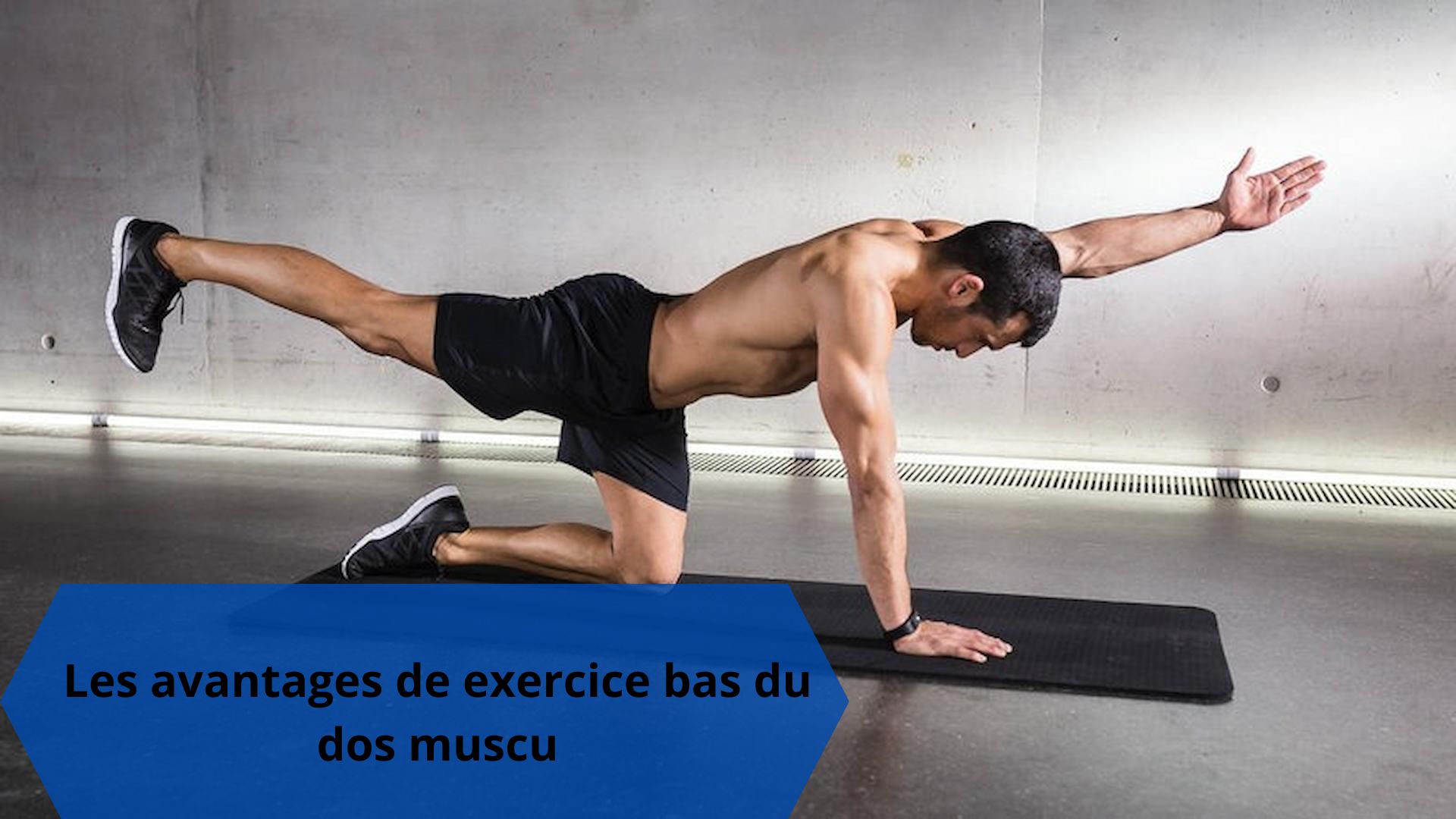 avantages de exercice bas du dos muscu